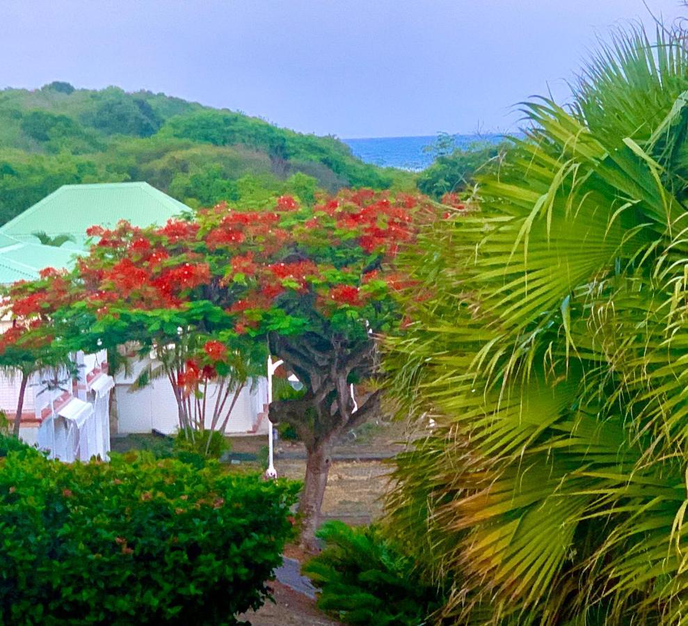 Le Titouloulou 1023 Anse Des Rochers Saint-Francois  Luaran gambar